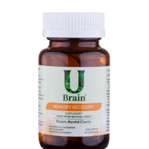 UBrain Memory Recovery