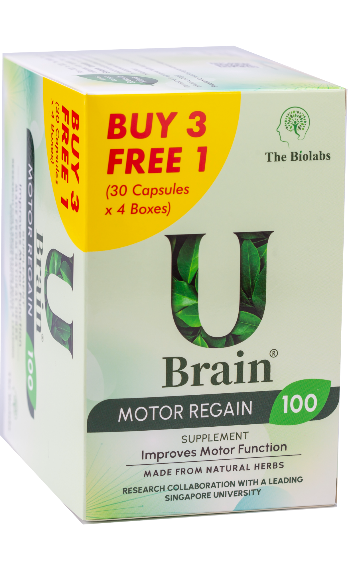 Ubrain Motor Regain 100 (2000)