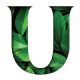 favicon favicon